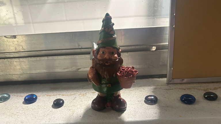 Gnome