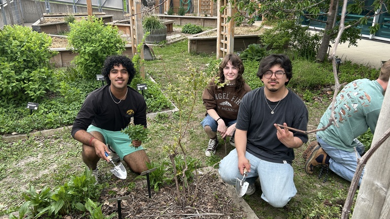 Volunteering at the Community Garden